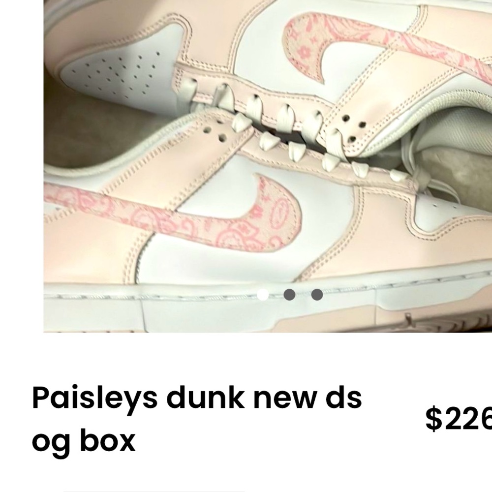 Paisleys dunk brand new ds